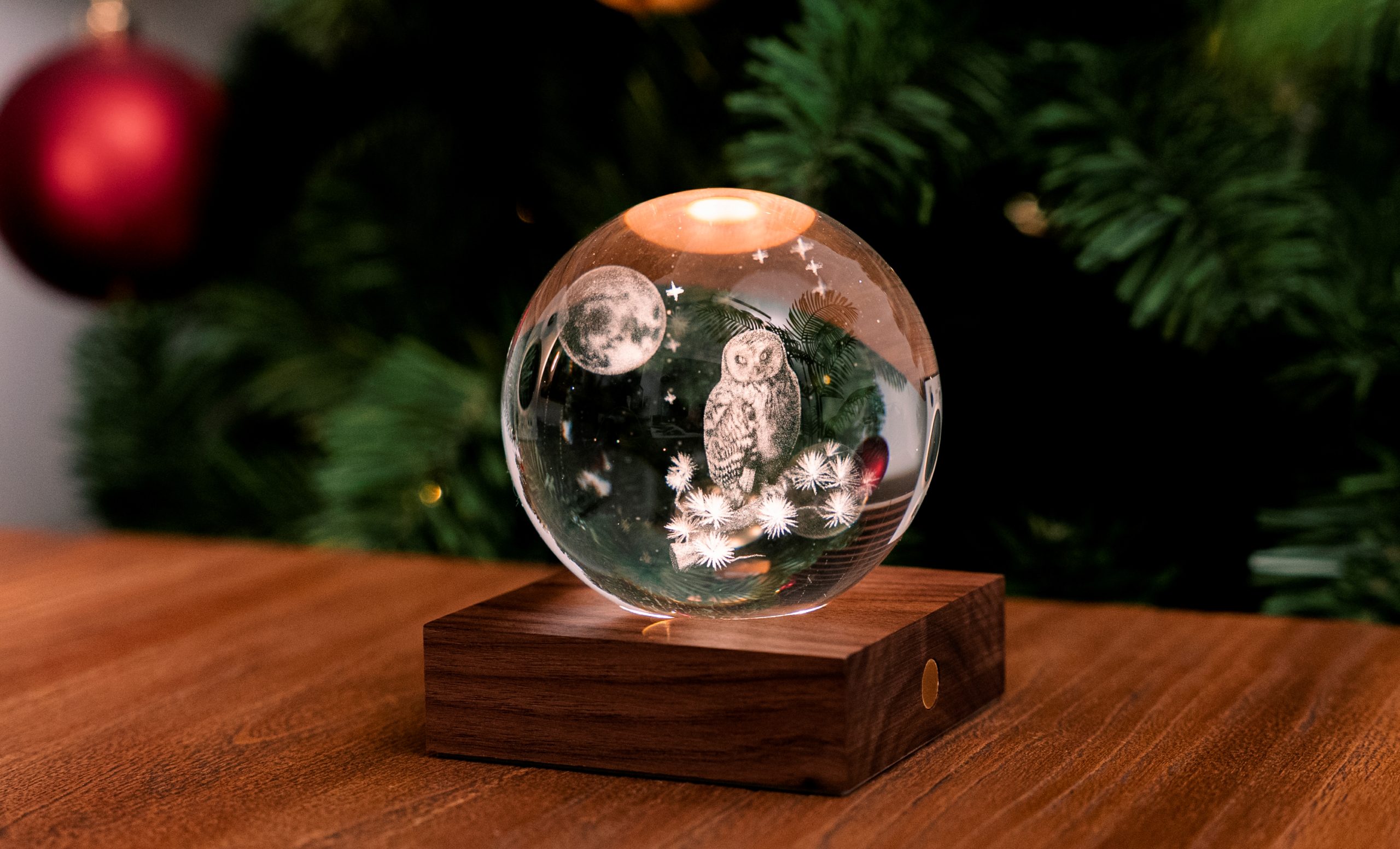 LA LUNA DEL GUFO - immagine 4