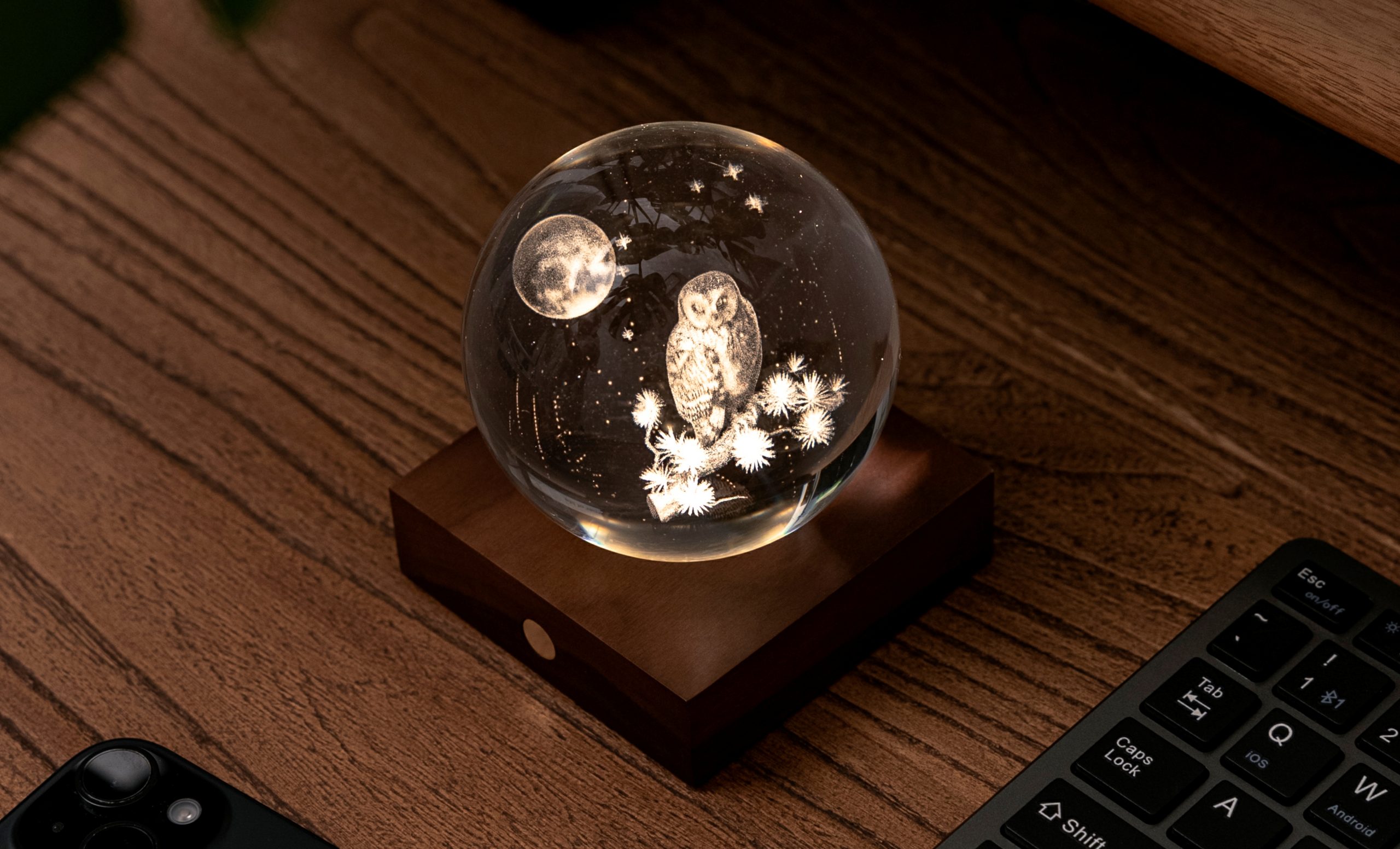 LA LUNA DEL GUFO - immagine 3