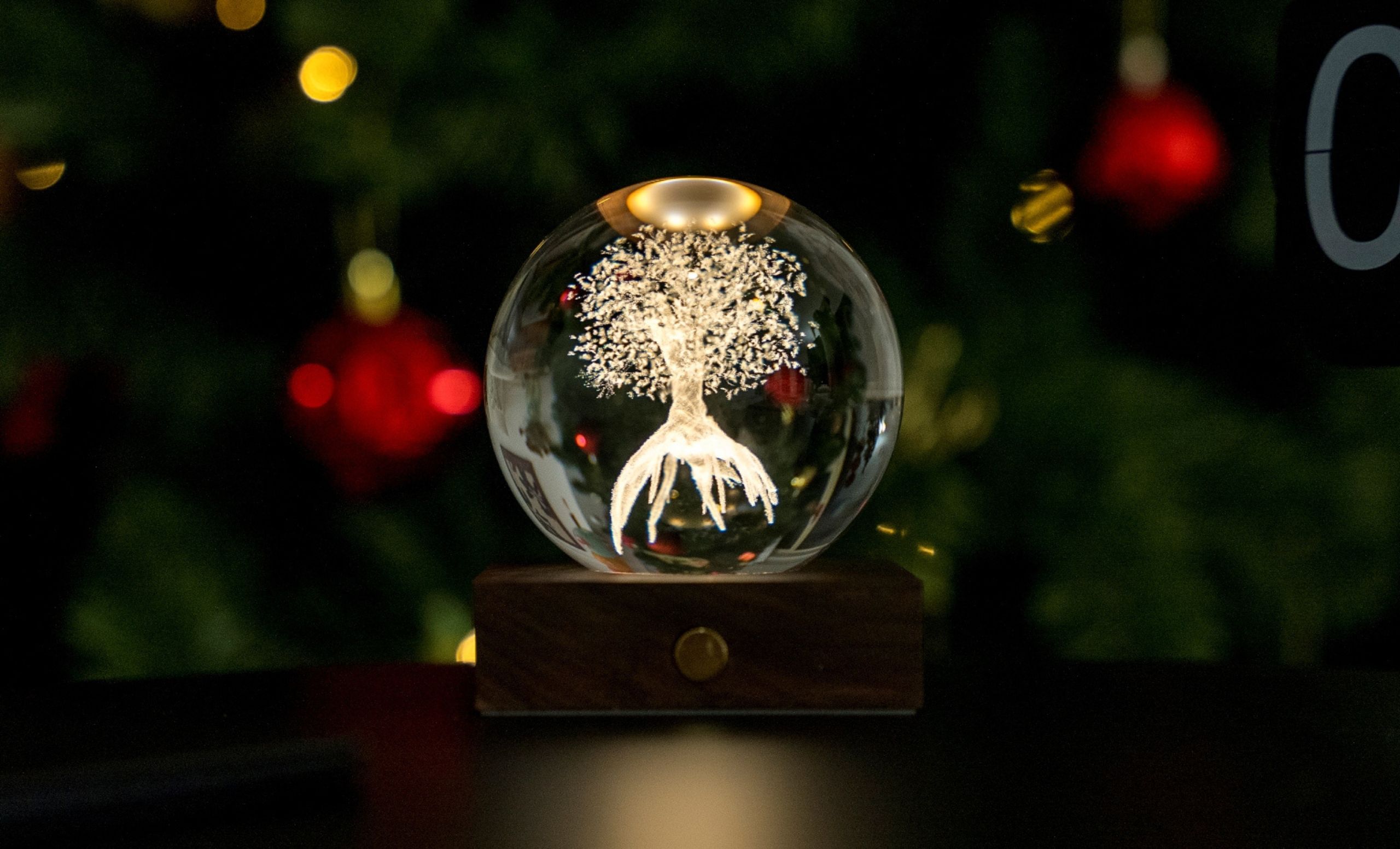 ALBERO DELLA VITA - immagine 2